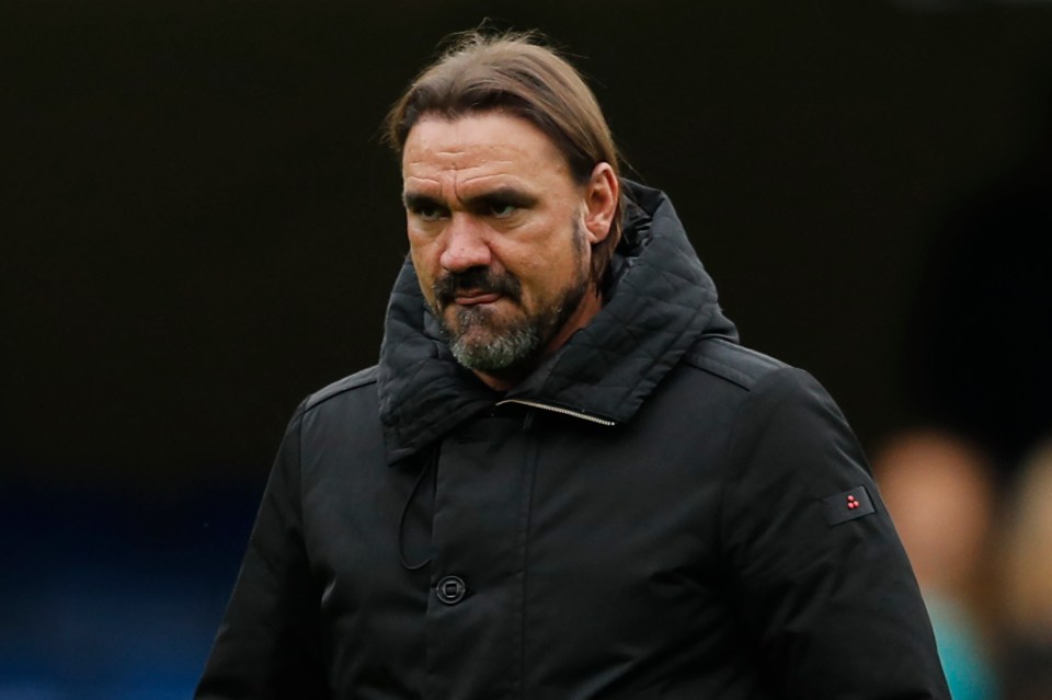 Stoke are eyeing Daniel Farke as a potential replacement for Michael O'Neill