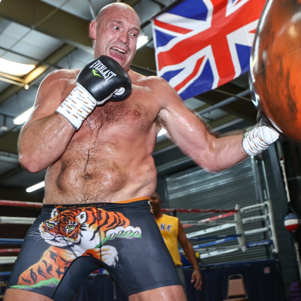 Better known as Tyson Fury, is the heavyweight champ's real name Luke?