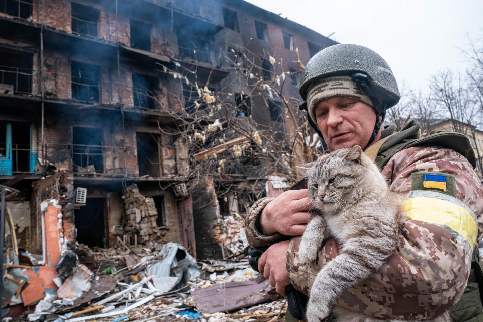 A soldier cradles a cat as he walks past a burned-out building