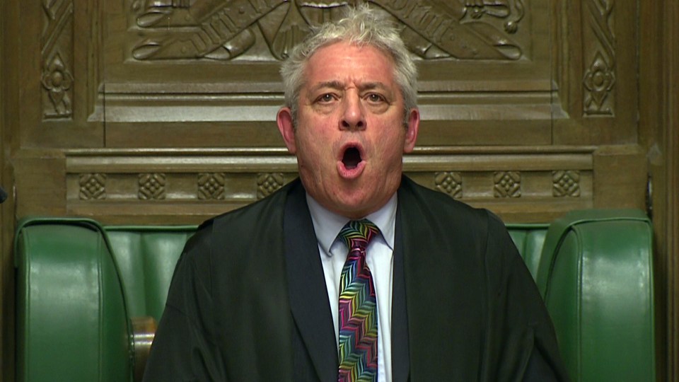 Mr Bercow was given a lifetime ban on holding a Parliamentary pass last week for bullying staff