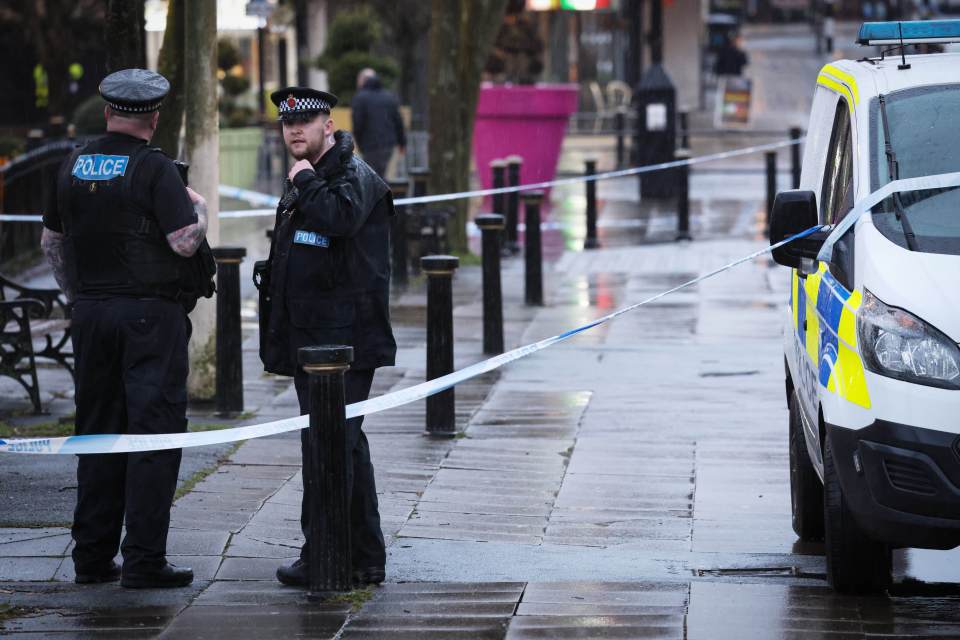 A teen has been stabbed to death in a town centre