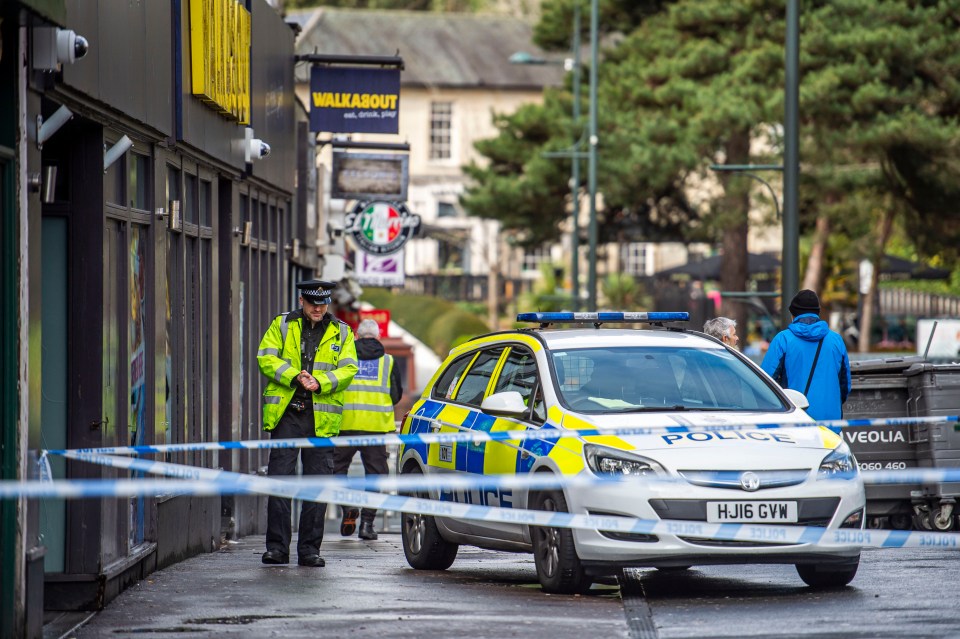 Cops were called in the early hours of the morning to reports of a stabbing