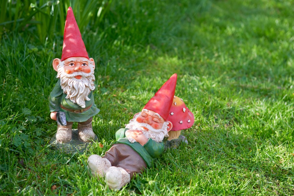 A family of gnomes in your garden is just tragic