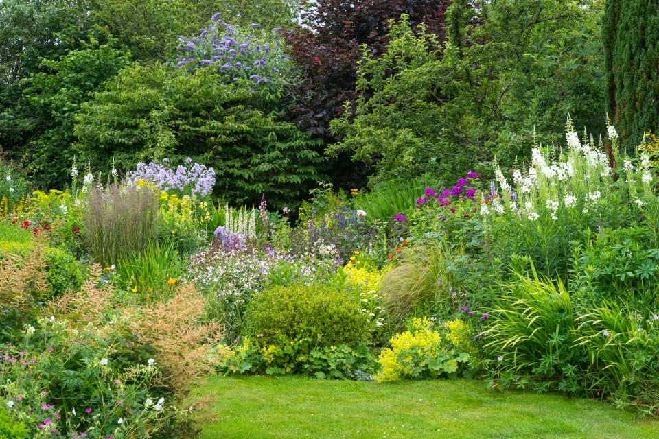 Garden flowers and shrubs should look natural and wild to avoid looking tacky