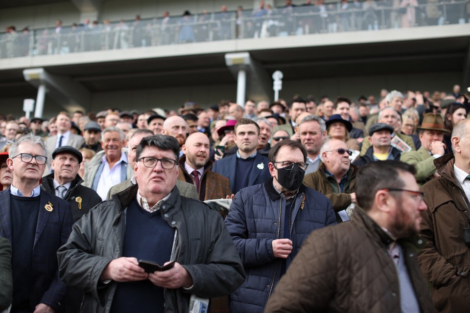 The stands were filled with excited racing fanatics