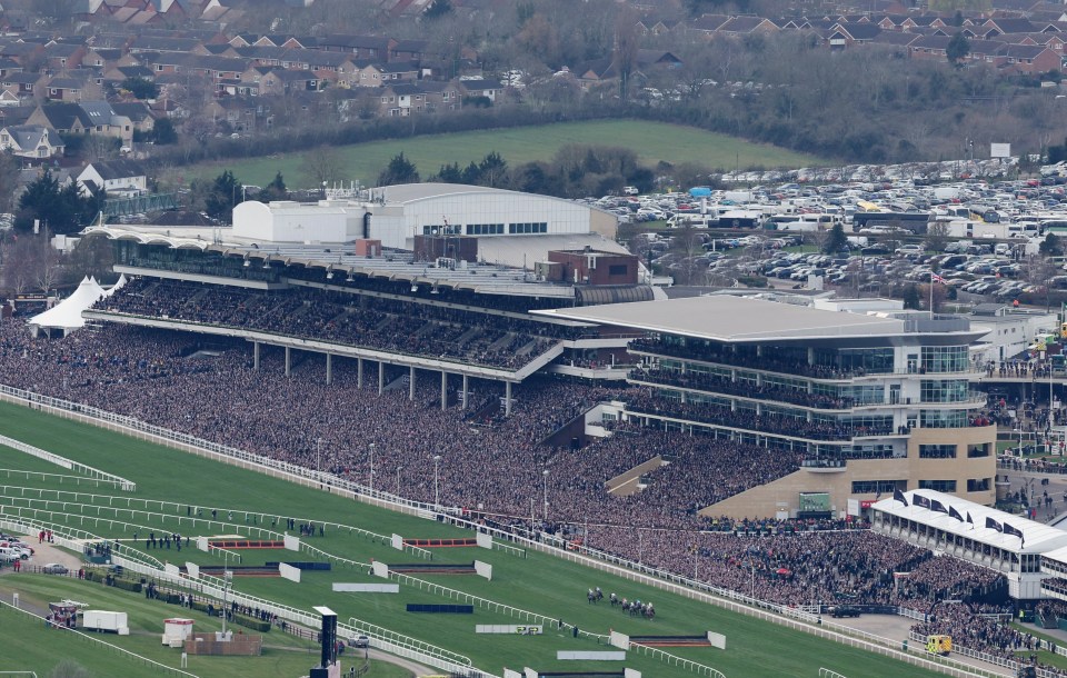 70,000 fans packed into the Cheltenham Festival to watch the opening day's action