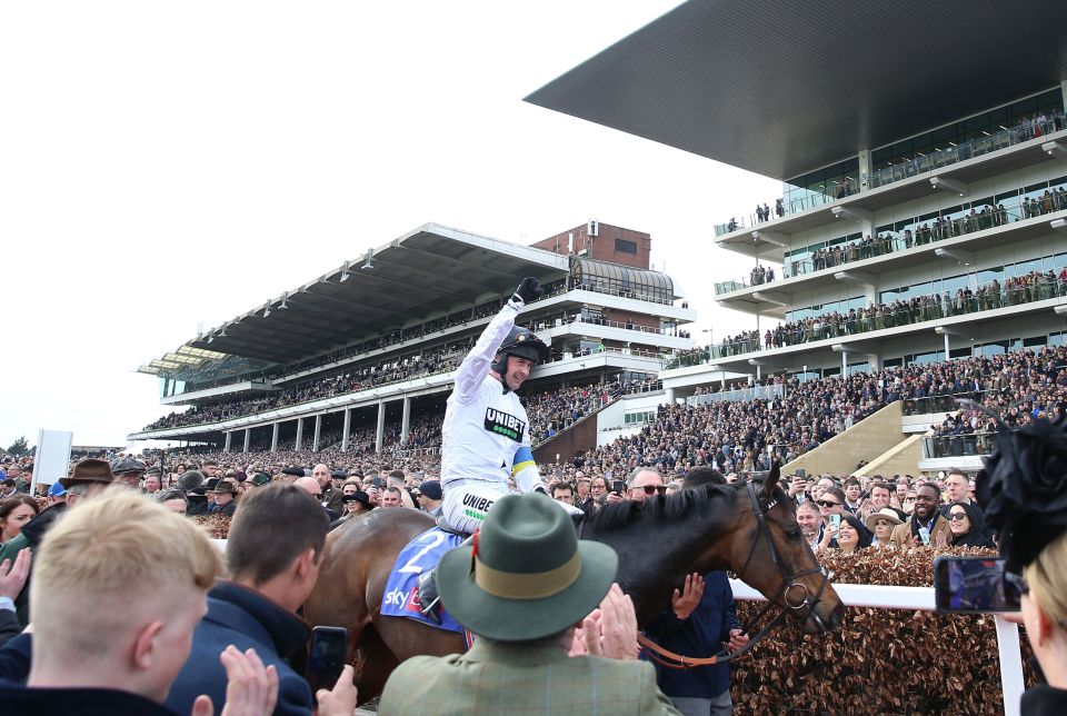 Constitution Hill won the first race of this year's Cheltenham in front of a huge crowd