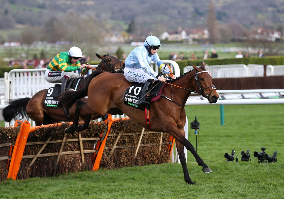 Blackmore led Honeysuckle home as the horse retained the Champion Hurdle