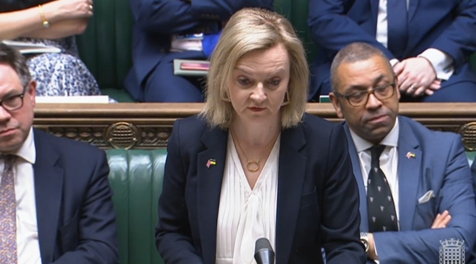 Liz Truss said: 'I cannot imagine what it would be like to be without my family, my mother, for so long'