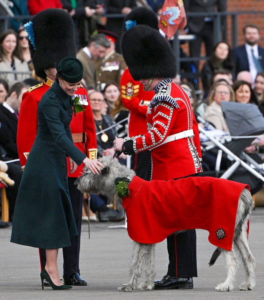 Kate met mascot Turlough Mor the Irish Wolfhound