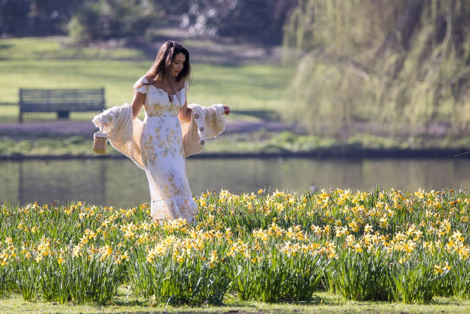 A woman wanders through daffodils in warm conditions in London's St James's Park