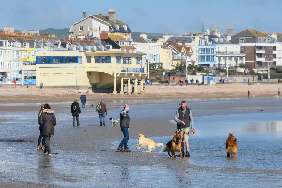 Dog-walkers enjoyed the sun with their pets on the seafront