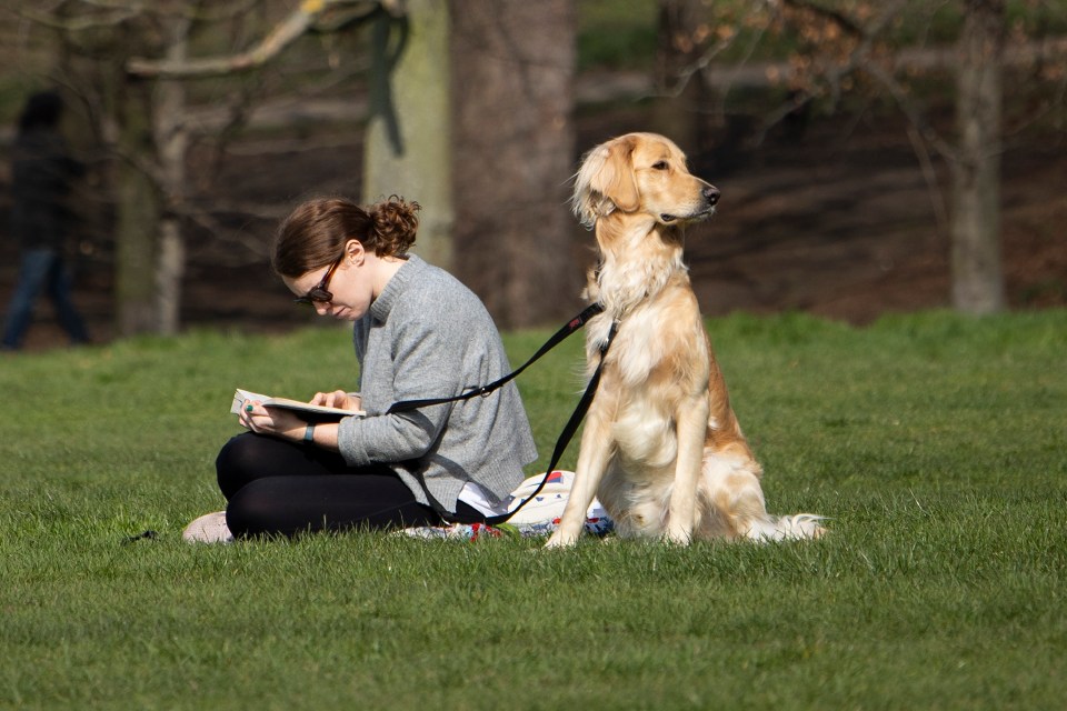 A woman and her dog relax during sunny weather in Greenwich Park in South East London