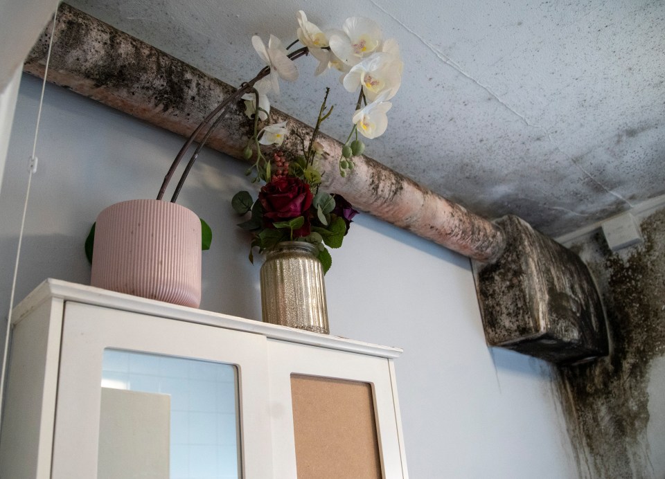 The kids are too embarrassed to have friends over after damp spread up the walls