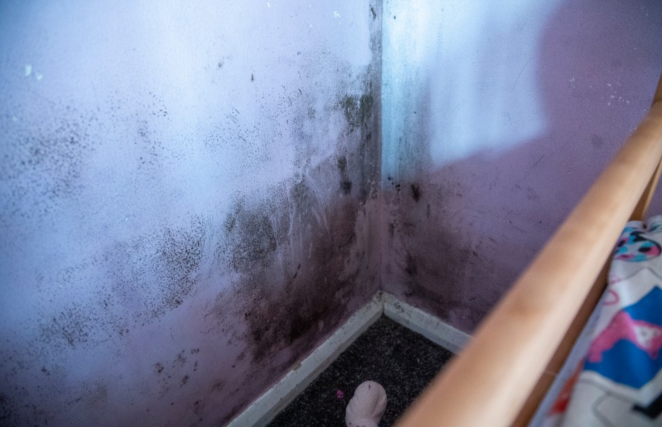 The mould is growing in the kids' room