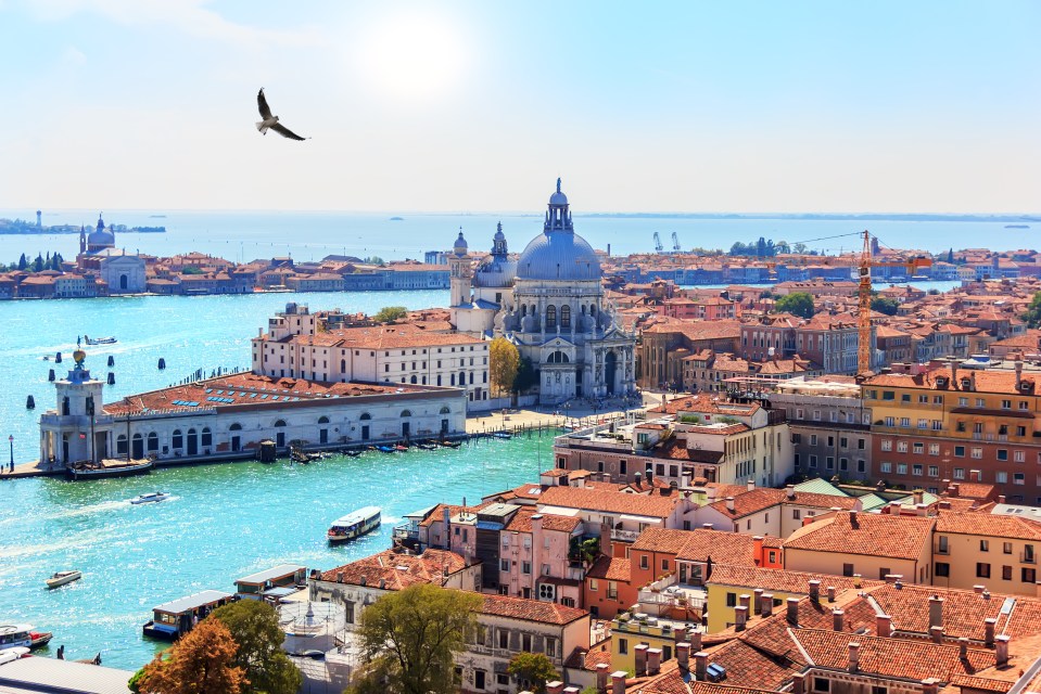 Venice tourists are being given water pistols to tackle seagulls in the area