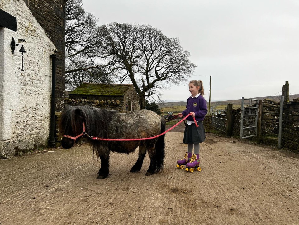 The kids even got Tony the pony involved