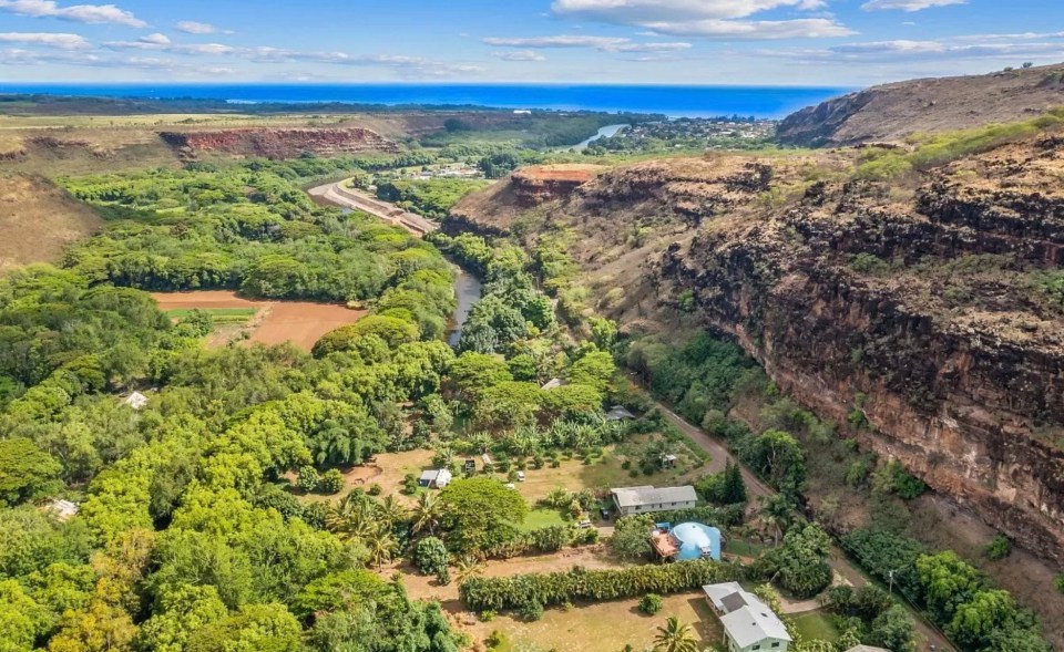 Gorgeous acres of nature surround the house