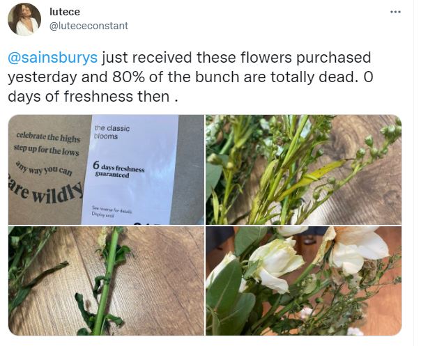 One Sainsbury's shopper was disappointed with the blooms that turned up