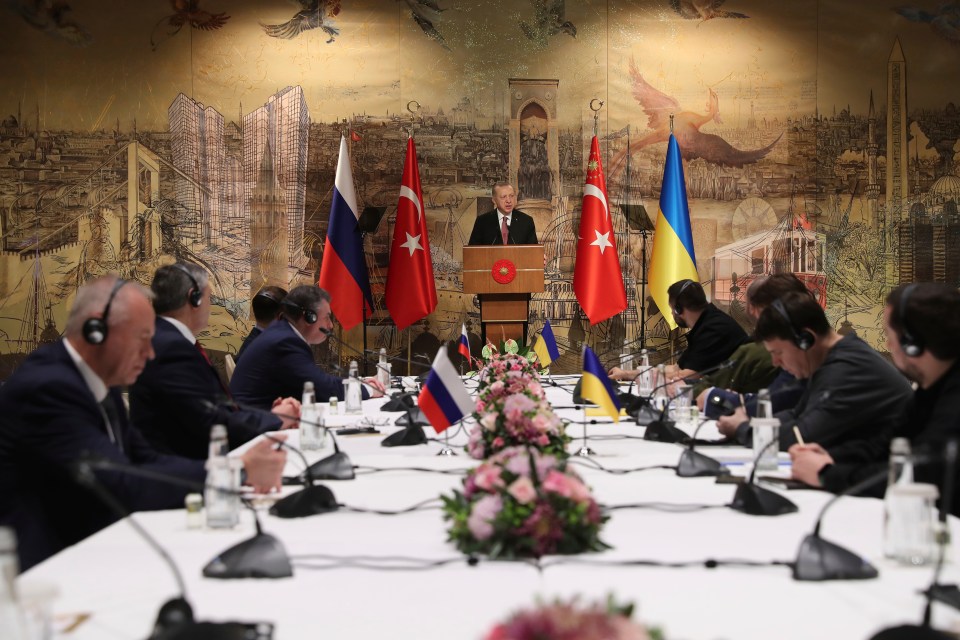 Peace talks are being hosted in Istanbul, Turkey