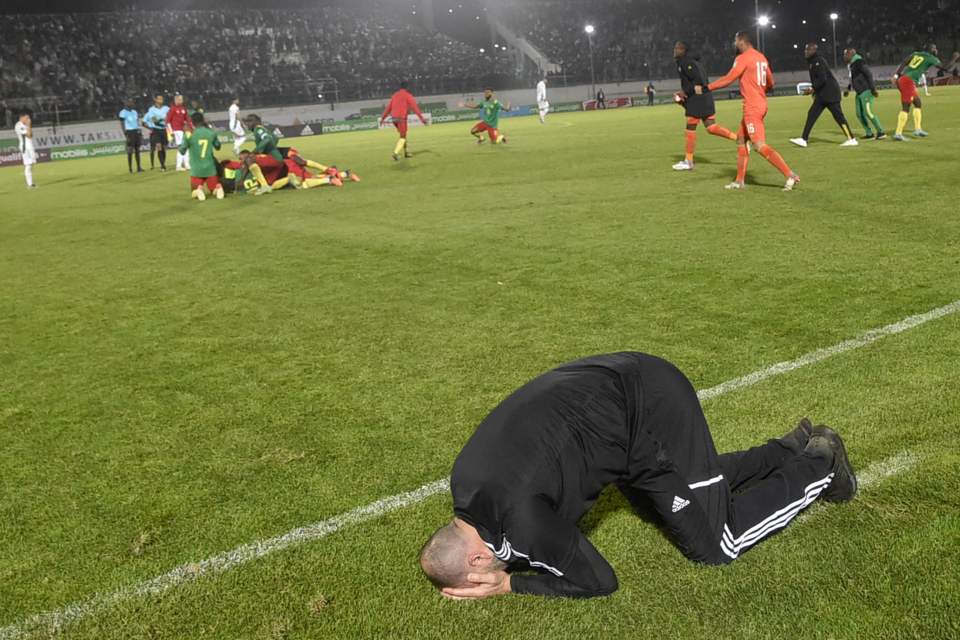 Belmadi slumps to the grass with his head in his hands as Algeria's dreams were crushed