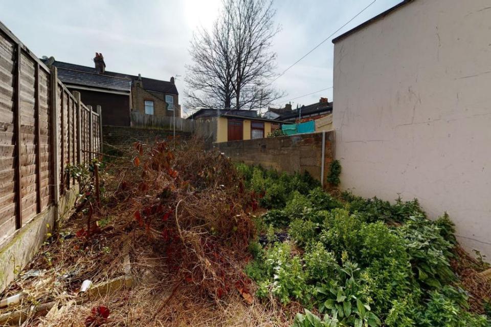 The property needs a huge amount of work, particularly in the garden, which is choked with weeds and vines