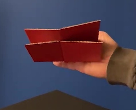 The mind-boggling illusion won the Best Illusion of the Year Contest 2021