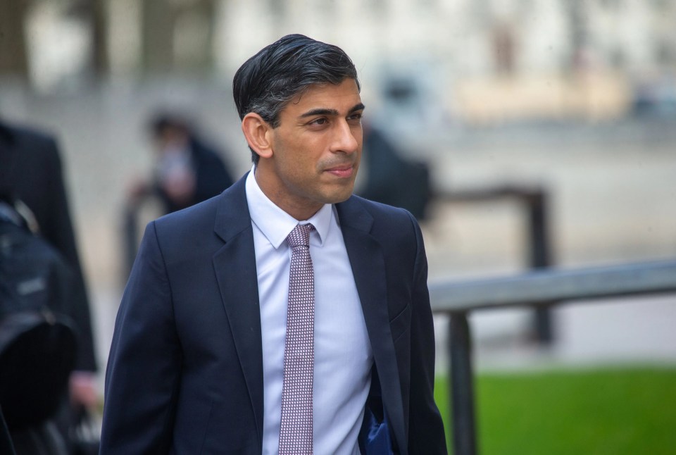 There is no quick fix in the upcoming mini-budget, Rishi Sunak has warned privately