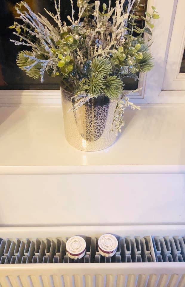 The woman shared a snap of her two pods tucked away on her radiator