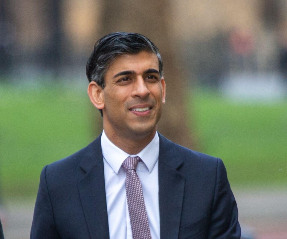 Chancellor Rishi Sunak warned the economic boom may only be brief and families should brace for a painful year of rocketing food and energy costs