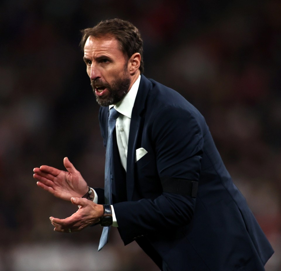 Southgate has spoken on issues facing fans who intend to travel to Qatar