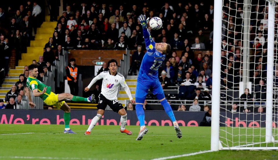 Fabio Carvalho added to a Mitrovic double to secure a 3-0 win over Preston