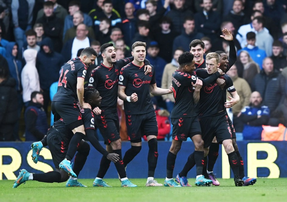 James Ward-Prowse celebrates Southampton's equaliser