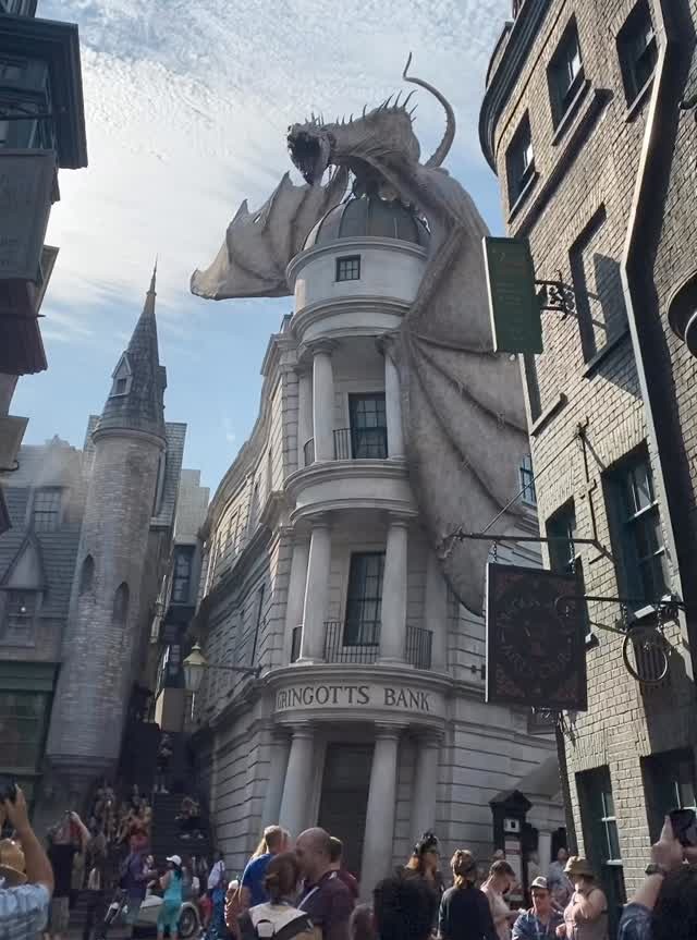 But Sue's youngest kids weren't thrilled by Harry Potter world and the fire-breathing dragon