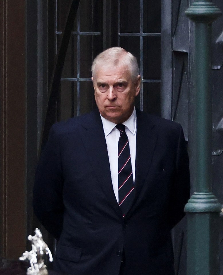 Prince Andrew is alleged to have received payments on the orders of Selman Turk