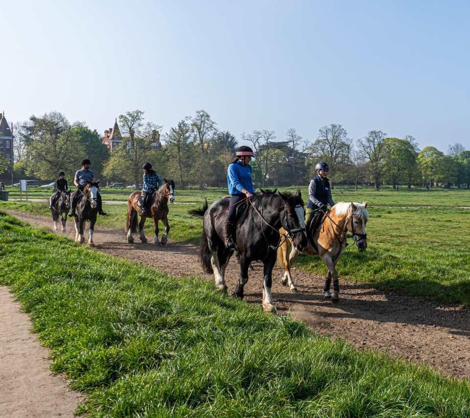 Horse riders riding on a bright spring morning on Wimbledon Common, London on Saturday