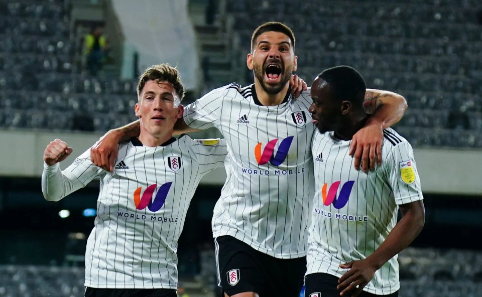 Fulham secured promotion to the Premier League with four games to spare