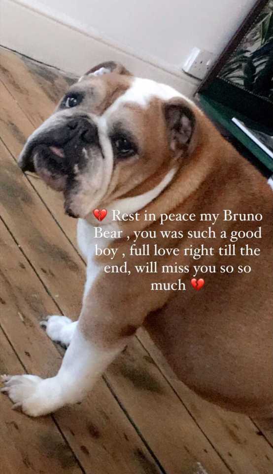 Danniella Westbrook has been left heartbroken by the death of her pet bulldog Bruno