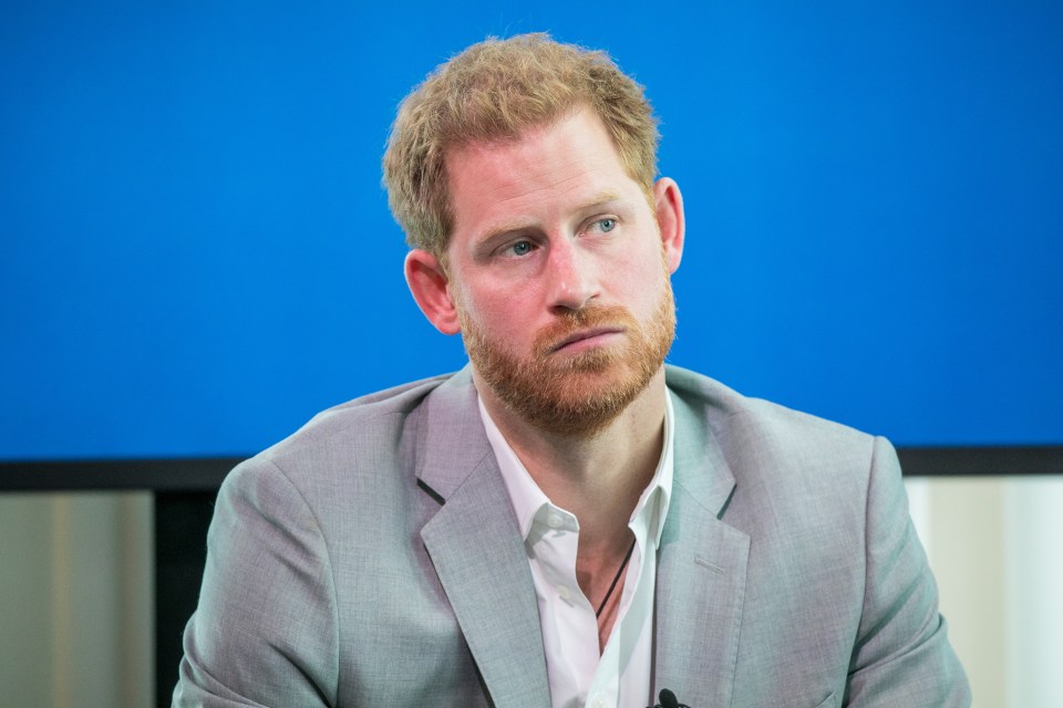 Prince Harry will 'go after' Charles and Camilla, a royal author claims