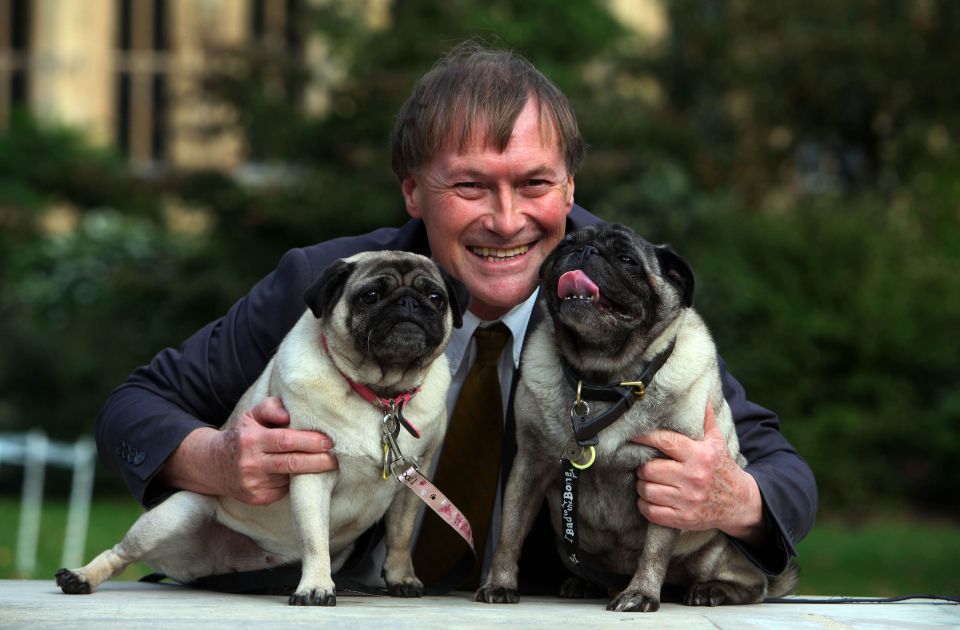 Sir David Amess with his pugs Lily and Boat