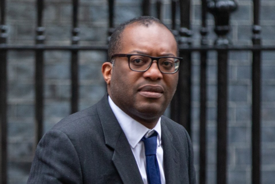 Business Secretary Kwasi Kwarteng said the Insolvency Service has started the probes