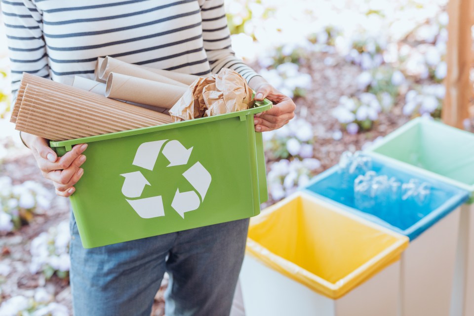 Recycling and reducing food waste are among the top things teenagers today are doing to be more environmentally-friendly