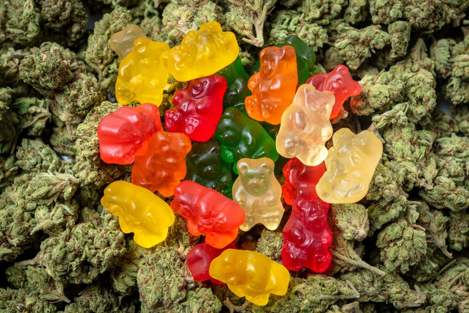 Drugs gangs are using potentially deadly cannabis sweets to entice youngsters into crime