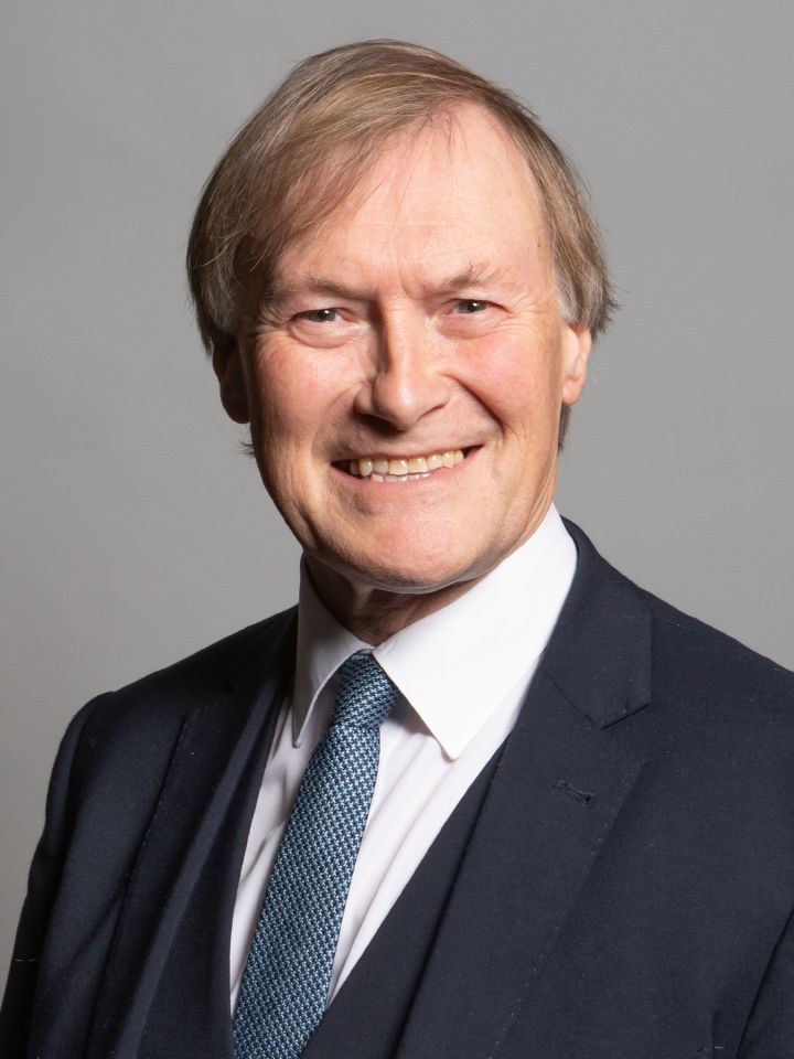 Sir David Amess was killed during a constituency surgery last year