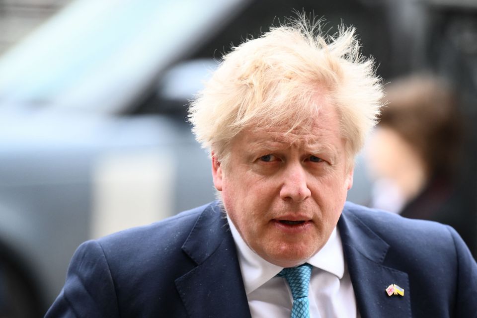 Boris Johnson should not resign if fined over No10 parties, a Cabinet colleague has said