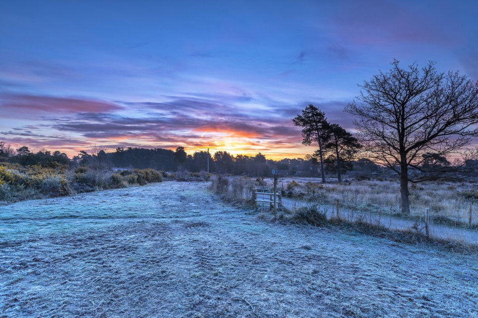 A stunning but chilly Dorset morning