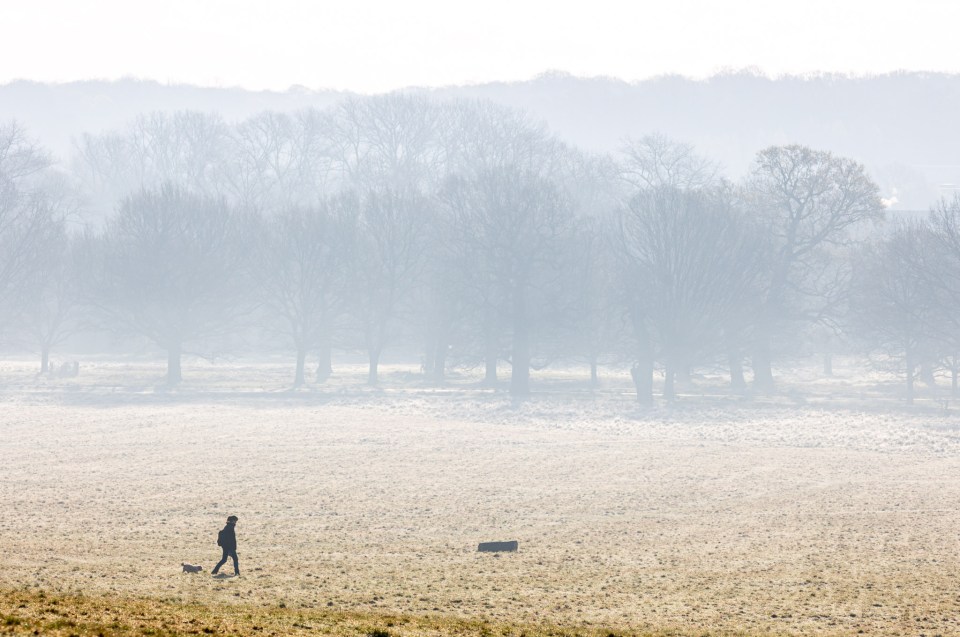 A frosty start of the day at Richmond Park in south-west London