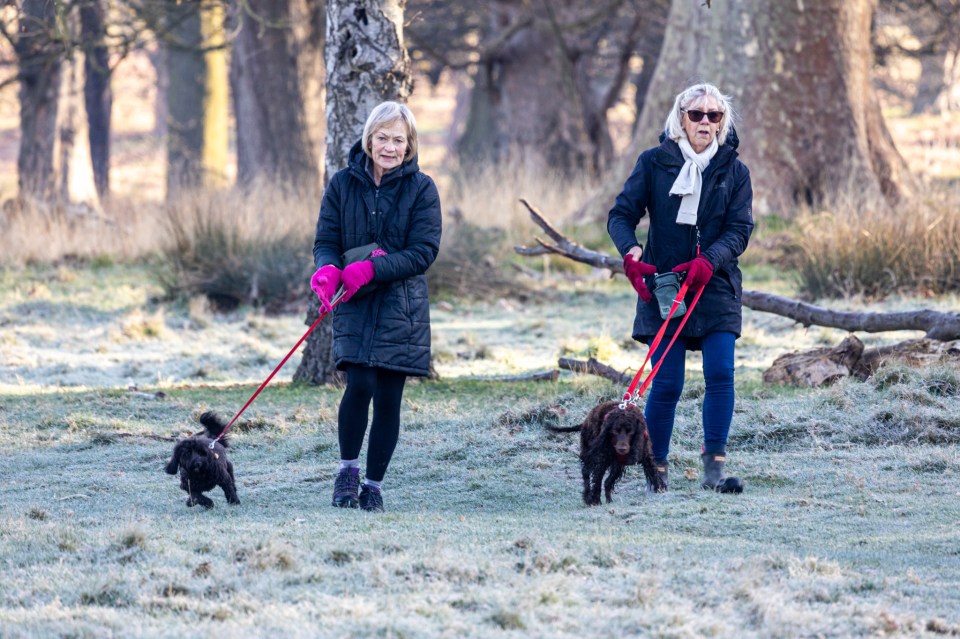 Two dog walkers in London having a chilly start to the day