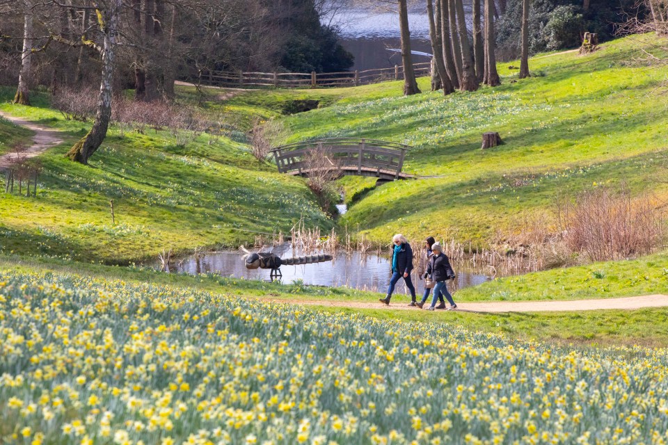 People at Windsor Great Park, in Virginia Water earlier this morning