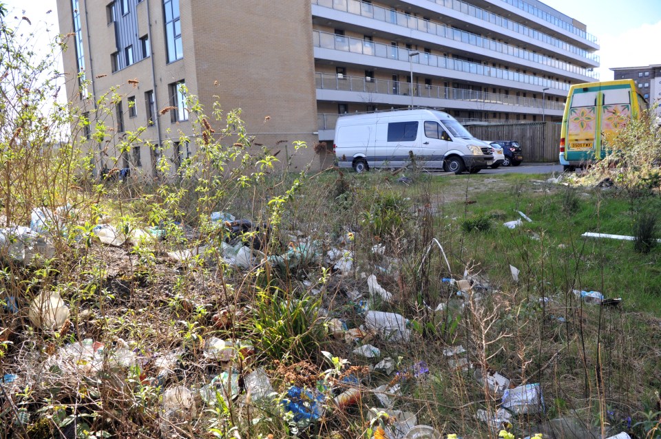 Ruby has accused the housing authority of doing nothing to end the misery at the Cardiff Bay apartment block